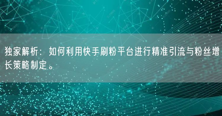 独家解析：如何利用快手刷粉平台进行精准引流与粉丝增长策略制定。