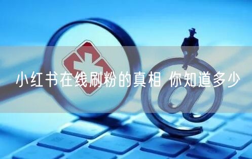 小红书在线刷粉的真相 你知道多少