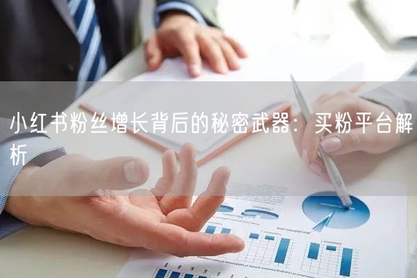小红书粉丝增长背后的秘密武器:买粉平台解析