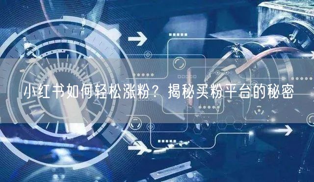小红书如何轻松涨粉?揭秘买粉平台的秘密
