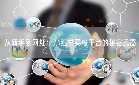 从新手到网红:小红书买粉平台的秘密武器