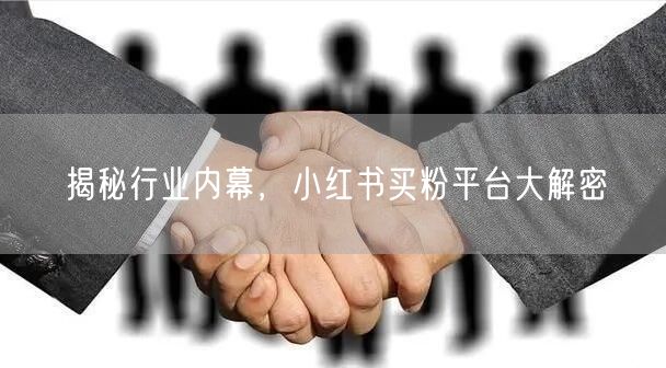 揭秘行业内幕,小红书买粉平台大解密
