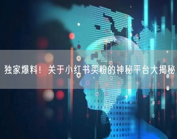 独家爆料!关于小红书买粉的神秘平台大揭秘
