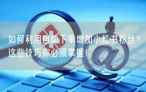 如何利用自助下单增加小红书粉丝?这些技巧你必须掌握!