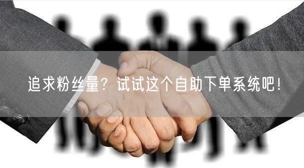 追求粉丝量?试试这个自助下单系统吧!