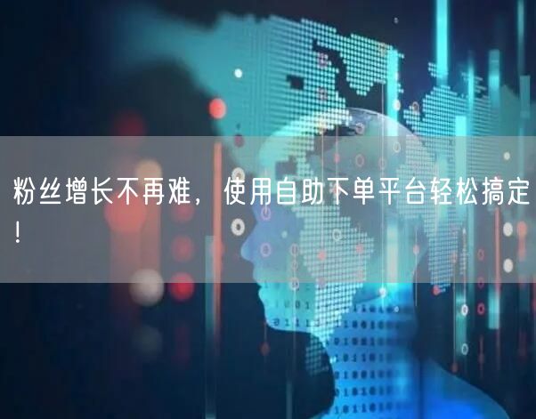 粉丝增长不再难，使用自助下单平台轻松搞定！